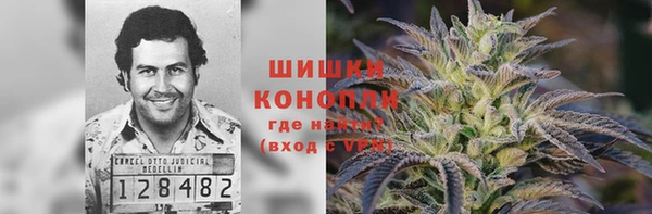 PSILOCYBIN Абдулино