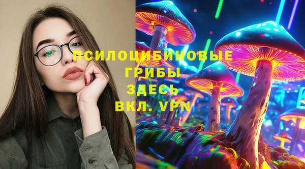 прущая мука Абаза