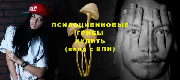 PSILOCYBIN Абдулино