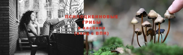 прущая мука Абаза