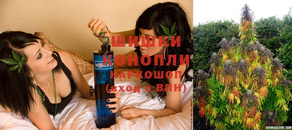 PSILOCYBIN Абдулино