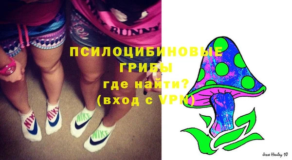 прущая мука Абаза