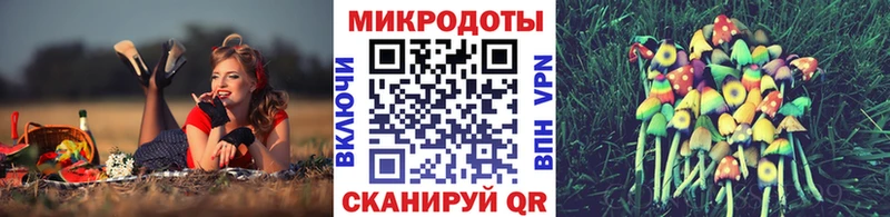 Псилоцибиновые грибы MAGIC MUSHROOMS  купить наркотики цена  Красновишерск 